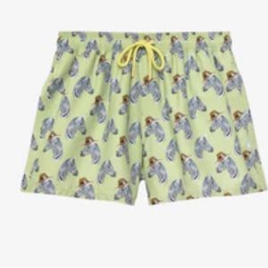 Posh Peanut Dante Men's Swim Trunks- NWT
